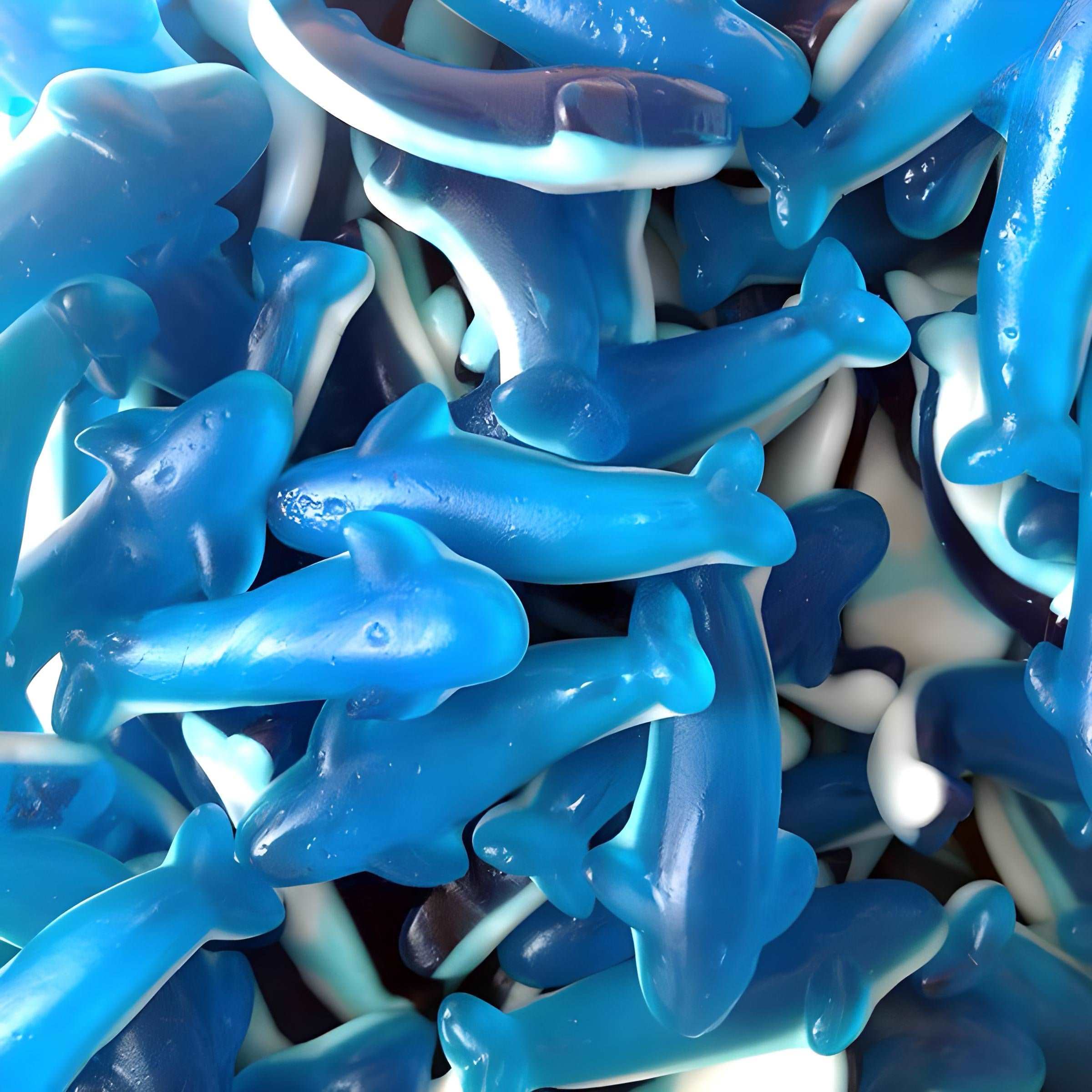 Image de Dauphin Bleu, une friandise savoureuse disponible sur Friandises Magic.