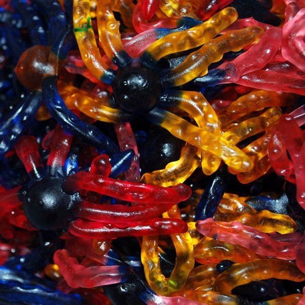 Image de Araignée, une friandise savoureuse disponible sur Friandises Magic.